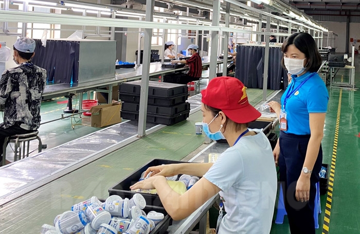 Hải Dương: Tổng điều tra kinh tế khối doanh nghiệp kéo dài thêm 1 tháng